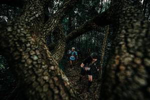 BIB: 
                            <button type="button" onclick="openModal(25679106)" class="btn btn-primary btn-sm float-right btn-popup" data-toggle="modal" data-target=".modal-high-quality">
                        <i class="fas fa-shopping-cart"></i> Add to Cart
                    </button>
                                            <button type="button" onclick="isThisMe(25679106, true)" class="btn btn-success btn-sm float-right btn-popup btn-isme hidden" data-toggle="tooltip" data-placement="bottom" title="นี่คือรูปของคุณใช่ไหม คลิกที่นี่เพื่อเอาเข้าอัลบั้ม">
                        <i class="fas fa-plus"></i> Add to album
                    </button>
                    <button type="button" onclick="isThisMe(25679106, false)" class="btn btn-warning btn-sm float-right btn-popup btn-isnotme hidden">
                        <i class="fas fa-ban"></i> Remove from album
                    </button>